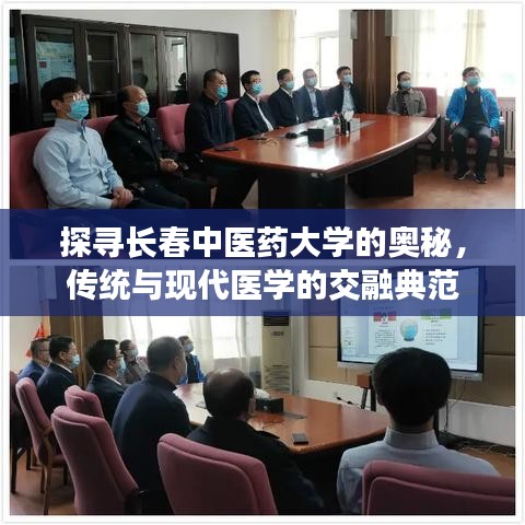 探寻长春中医药大学的奥秘，传统与现代医学的交融典范