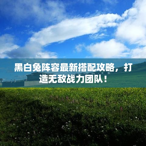 黑白兔阵容最新搭配攻略，打造无敌战力团队！