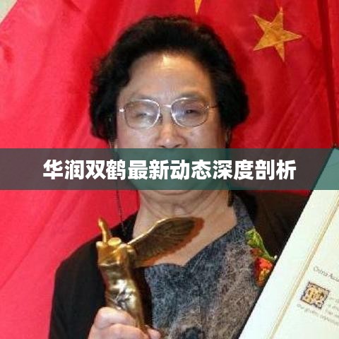 华润双鹤最新动态深度剖析