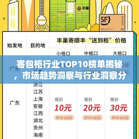 寄包柜行业TOP10榜单揭秘，市场趋势洞察与行业洞察分析