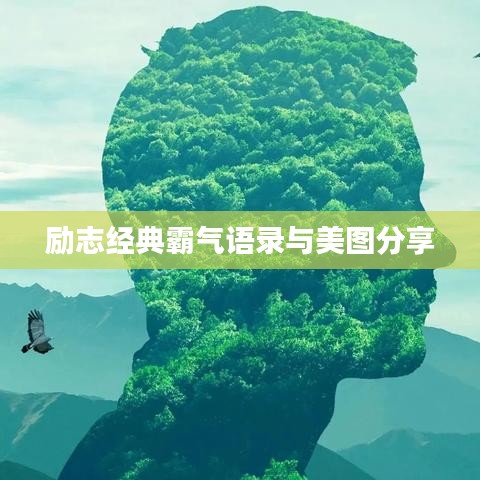 励志经典霸气语录与美图分享