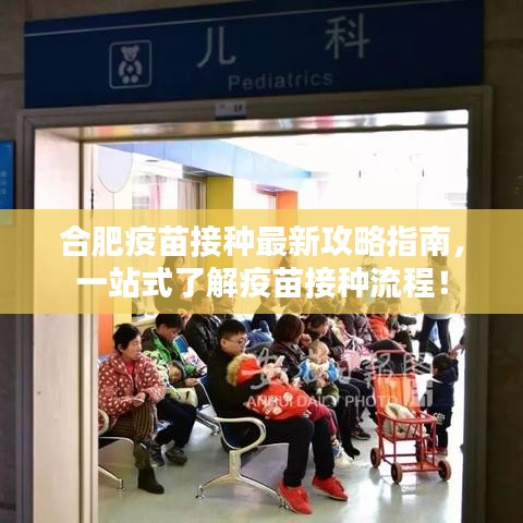 合肥疫苗接种最新攻略指南，一站式了解疫苗接种流程！