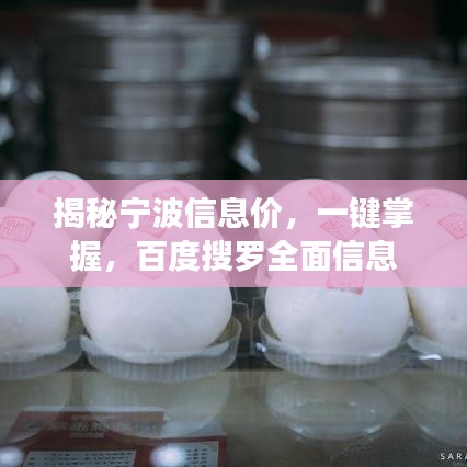揭秘宁波信息价，一键掌握，百度搜罗全面信息