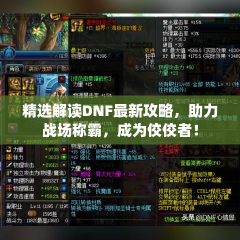 精选解读DNF最新攻略，助力战场称霸，成为佼佼者！