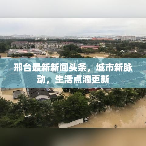 邢台最新新闻头条，城市新脉动，生活点滴更新