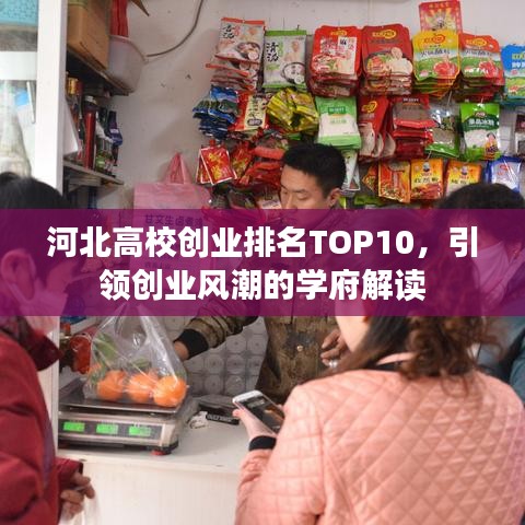 河北高校创业排名TOP10，引领创业风潮的学府解读