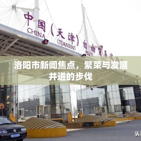 洛阳市新闻焦点，繁荣与发展并进的步伐