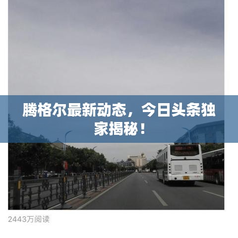 腾格尔最新动态，今日头条独家揭秘！