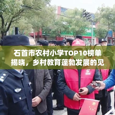 石首市农村小学TOP10榜单揭晓，乡村教育蓬勃发展的见证