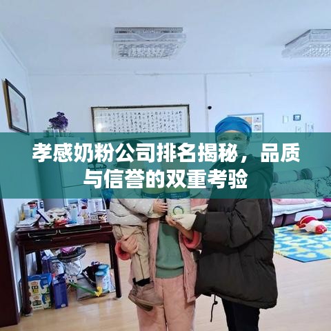 孝感奶粉公司排名揭秘，品质与信誉的双重考验