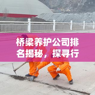桥梁养护公司排名揭秘，探寻行业领军者，专业实力大比拼！