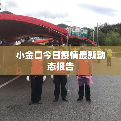 小金口今日疫情最新动态报告