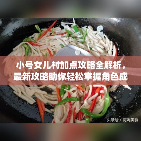 小号女儿村加点攻略全解析，最新攻略助你轻松掌握角色成长技巧！