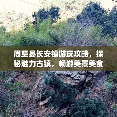 周至县长安镇游玩攻略，探秘魅力古镇，畅游美景美食之旅！
