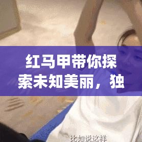 红马甲带你探索未知美丽，独家旅游攻略！