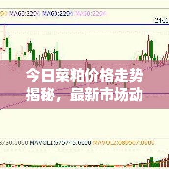 今日菜粕价格走势揭秘，最新市场动态、趋势分析与影响因素全解析