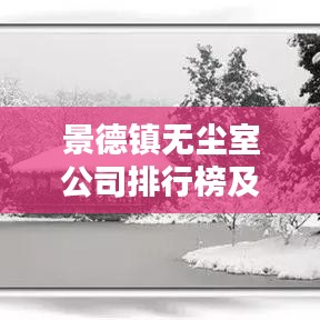 景德镇无尘室公司排行榜及行业影响力深度解析