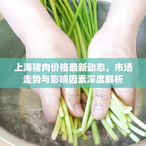 上海猪肉价格最新动态，市场走势与影响因素深度解析