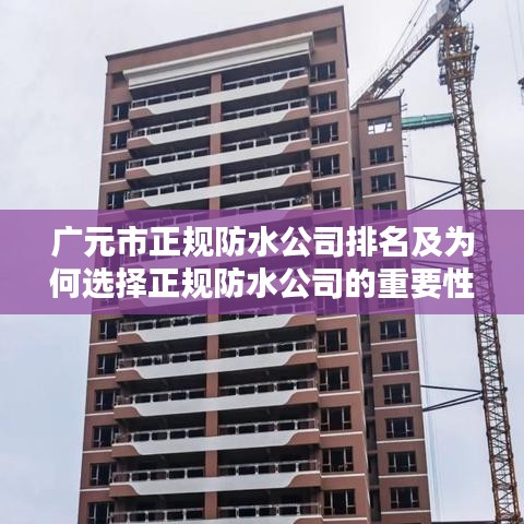 广元市正规防水公司排名及为何选择正规防水公司的重要性