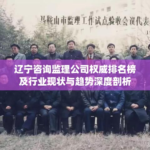 辽宁咨询监理公司权威排名榜及行业现状与趋势深度剖析