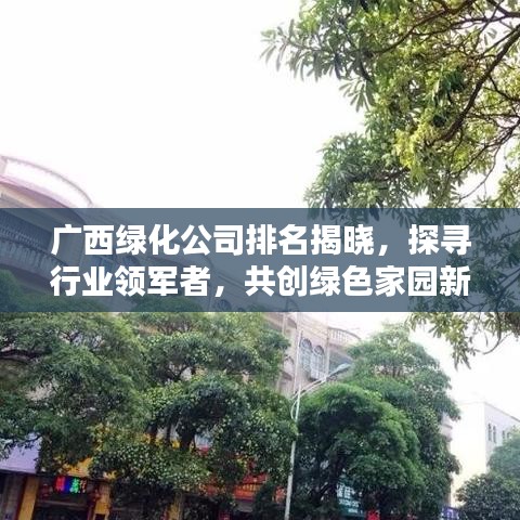 广西绿化公司排名揭晓，探寻行业领军者，共创绿色家园新未来