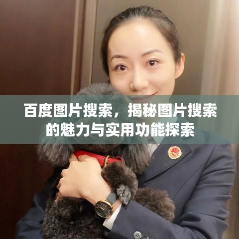 百度图片搜索，揭秘图片搜索的魅力与实用功能探索