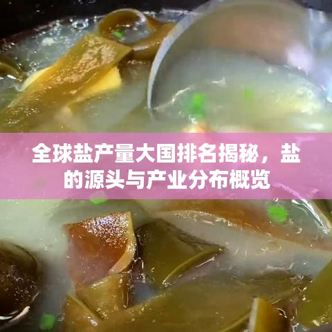 全球盐产量大国排名揭秘，盐的源头与产业分布概览