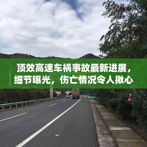 顶效高速车祸事故最新进展，细节曝光，伤亡情况令人揪心