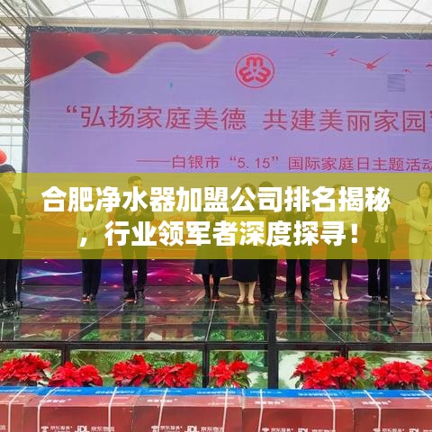 合肥净水器加盟公司排名揭秘，行业领军者深度探寻！