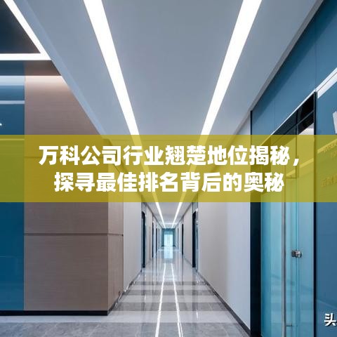 万科公司行业翘楚地位揭秘，探寻最佳排名背后的奥秘