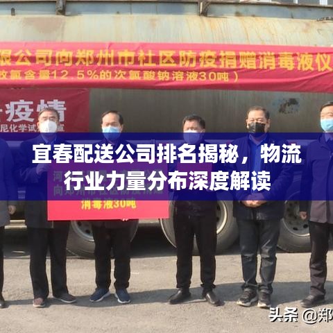 宜春配送公司排名揭秘，物流行业力量分布深度解读