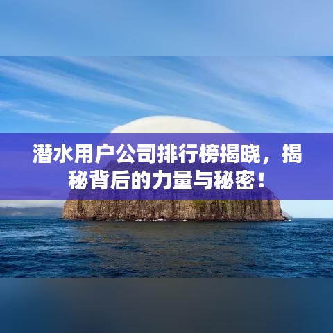 潜水用户公司排行榜揭晓，揭秘背后的力量与秘密！