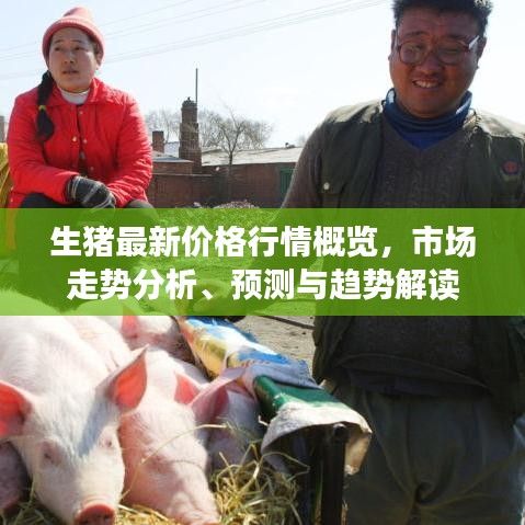 生猪最新价格行情概览，市场走势分析、预测与趋势解读