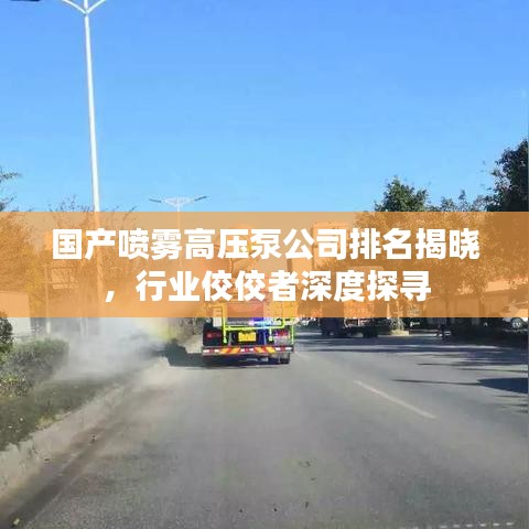 国产喷雾高压泵公司排名揭晓，行业佼佼者深度探寻
