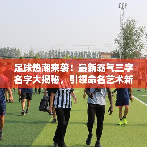 足球热潮来袭！最新霸气三字名字大揭秘，引领命名艺术新潮流