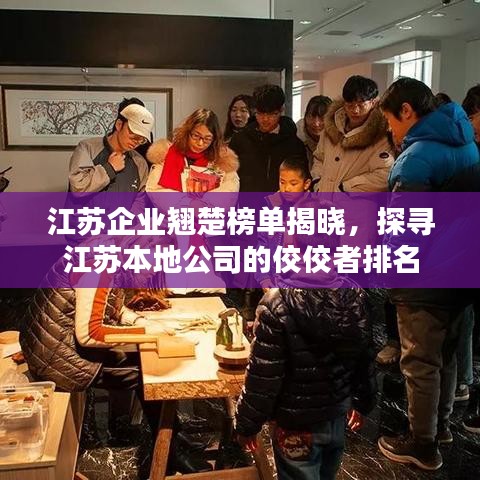 江苏企业翘楚榜单揭晓，探寻江苏本地公司的佼佼者排名