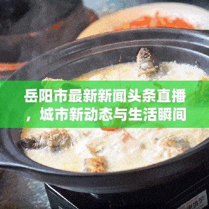 岳阳市最新新闻头条直播，城市新动态与生活瞬间捕捉