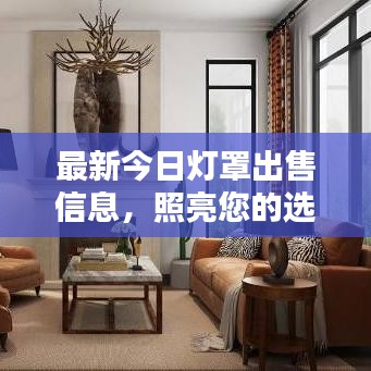 最新今日灯罩出售信息，照亮您的选择之路，品质之选！