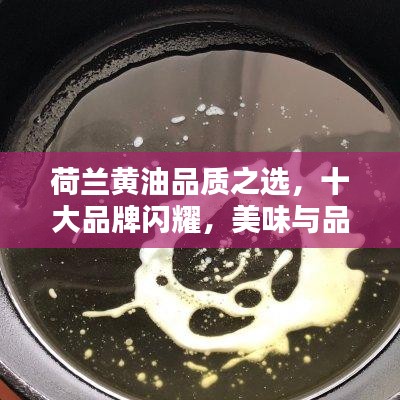 荷兰黄油品质之选，十大品牌闪耀，美味与品质并重
