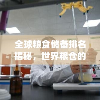 全球粮食储备排名揭秘，世界粮仓的奥秘与现状探究