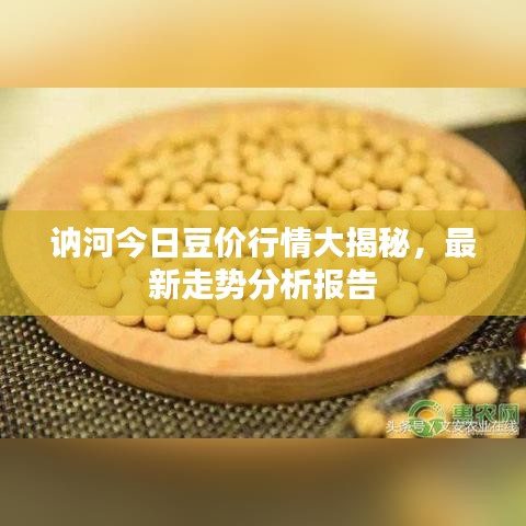 2025年6月 第15页