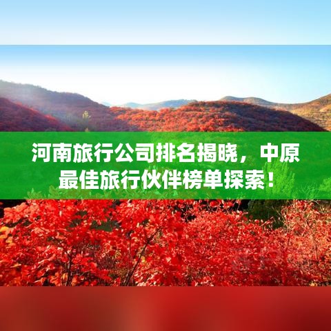 河南旅行公司排名揭晓，中原最佳旅行伙伴榜单探索！