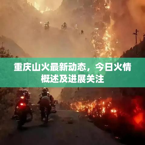 重庆山火最新动态，今日火情概述及进展关注