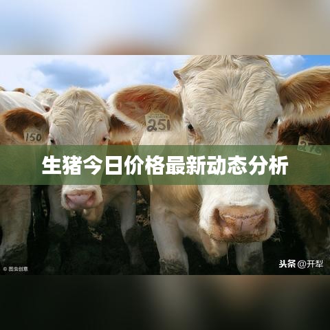 生猪价格最新动态分析报告