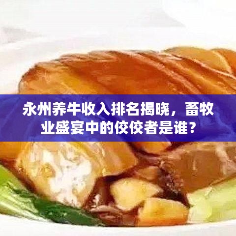 永州养牛收入排名揭晓，畜牧业盛宴中的佼佼者是谁？