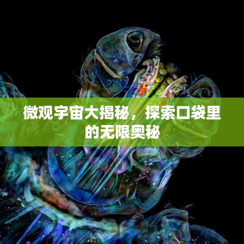 微观宇宙揭秘，口袋里的无限奥秘探索