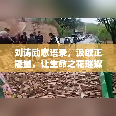 刘涛励志语录，汲取正能量，生命之花绚烂绽放