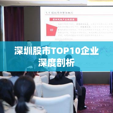 深圳股市TOP10企业深度剖析