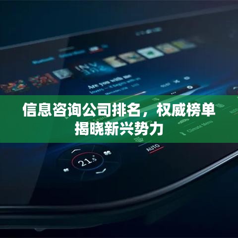 信息咨询公司排名，权威榜单揭晓新兴势力