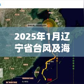 2025年1月辽宁省台风及海洋环境最新概况